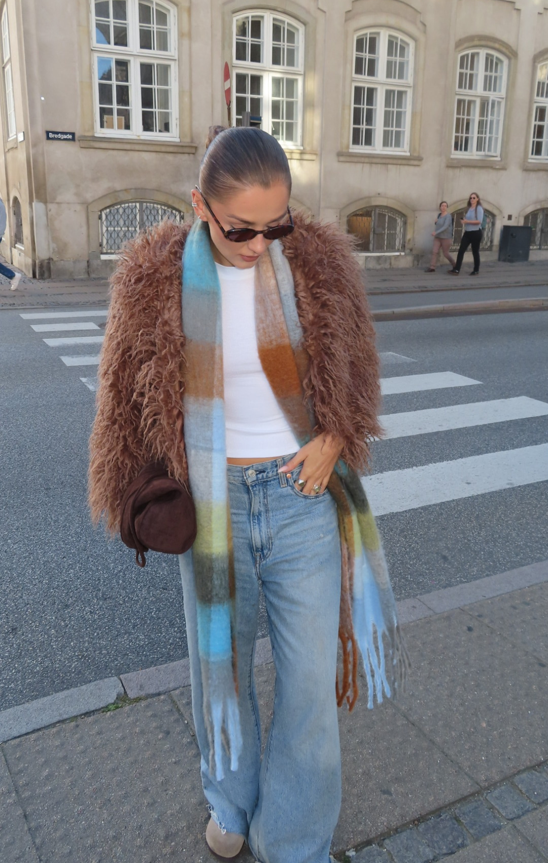 Soft Winter Scarf Blue Chocolate Brown Warm Neck Wrap Fashion Shawl Elegant Cozy Accessories For Women Cold Weather Gift