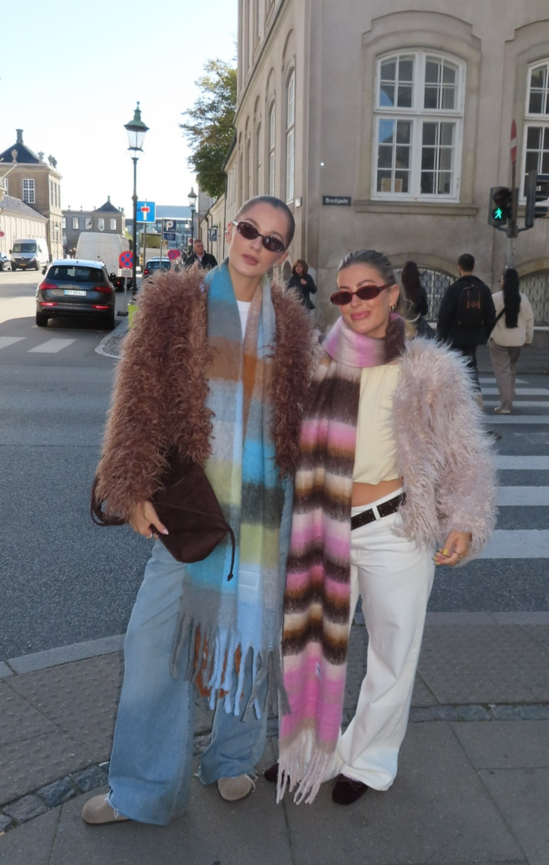 Soft Winter Scarf Blue Chocolate Brown Warm Neck Wrap Fashion Shawl Elegant Cozy Accessories For Women Cold Weather Gift